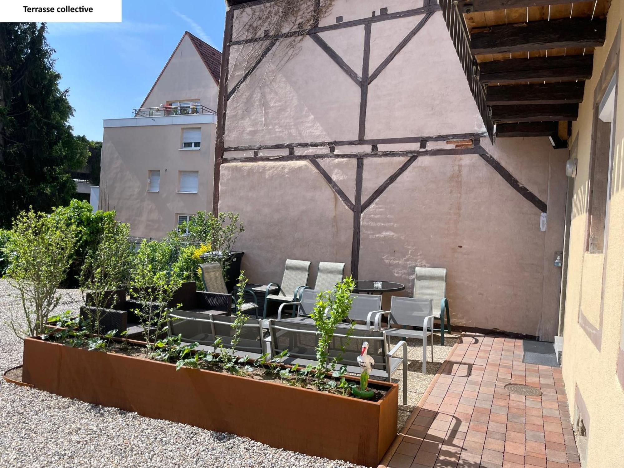 Appartements Centre Ville Colmar 4 Familles Екстериор снимка